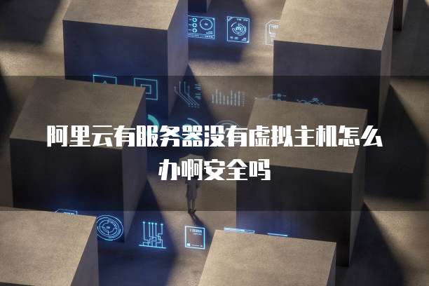 阿里云有服务器没有虚拟主机怎么办啊安全吗