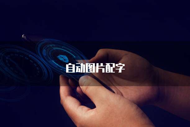 钉钉报餐宝费用是多少啊?如何退款?