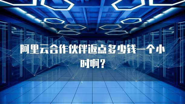 阿里云合作伙伴返点多少钱一个小时啊?