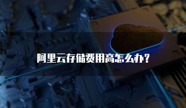 阿里云存储费用高怎么办？