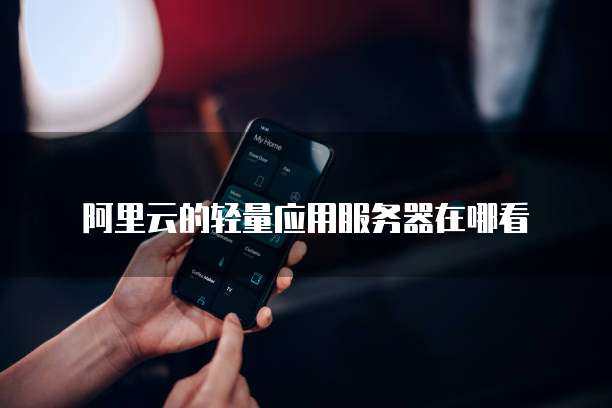 阿里云的轻量应用服务器在哪看