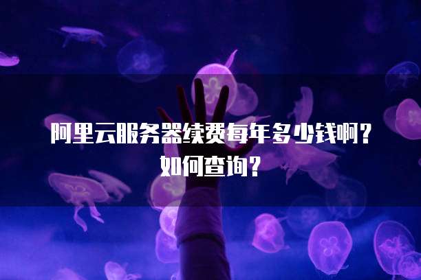 阿里云服务器续费每年多少钱啊？如何查询？