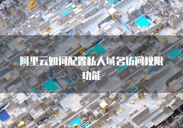 阿里云如何配置私人域名访问权限功能