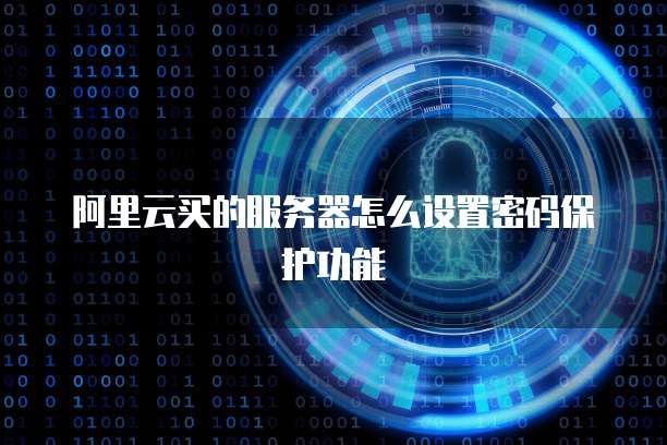 阿里云买的服务器怎么设置密码保护功能