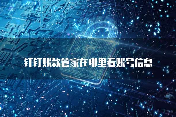 钉钉账款管家在哪里看账号信息