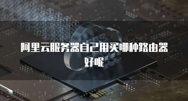 阿里云服务器自己用买哪种路由器好呢