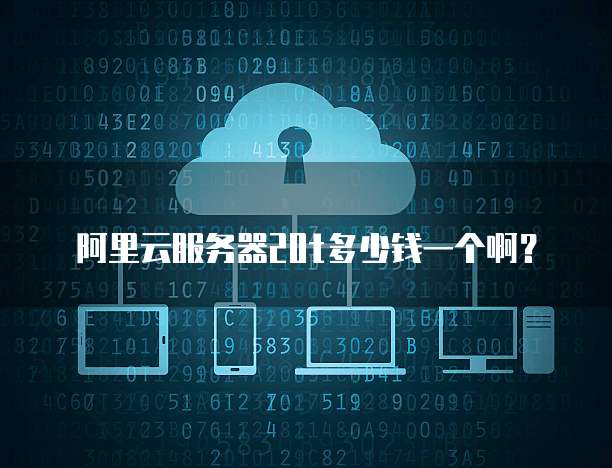 阿里云服务器20t多少钱一个啊?