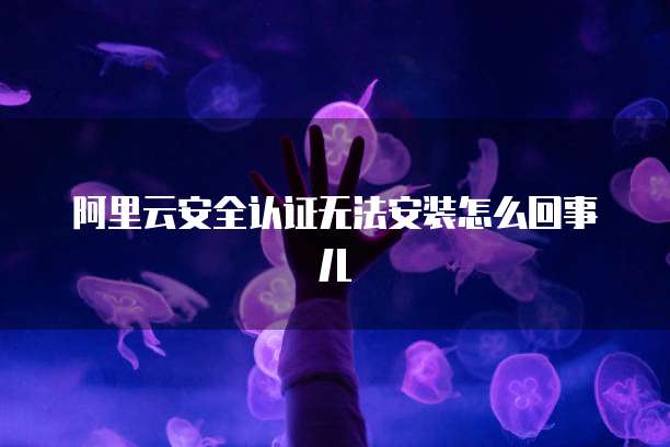 阿里云安全认证无法安装怎么回事儿