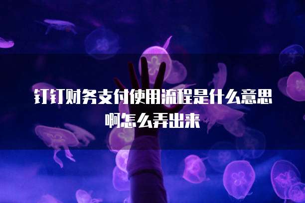 钉钉财务支付使用流程是什么意思啊怎么弄出来