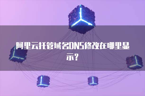 阿里云托管域名DNS修改在哪里显示？