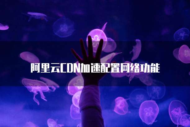 阿里云CDN加速配置网络功能