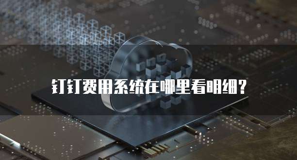 钉钉费用系统在哪里看明细?
