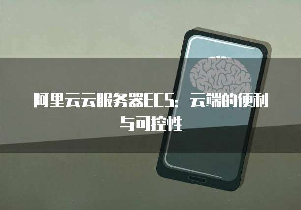 阿里云云服务器ECS:云端的便利与可控性