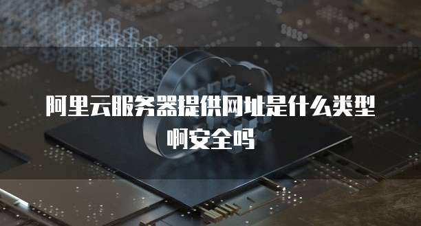 阿里云服务器提供网址是什么类型啊安全吗