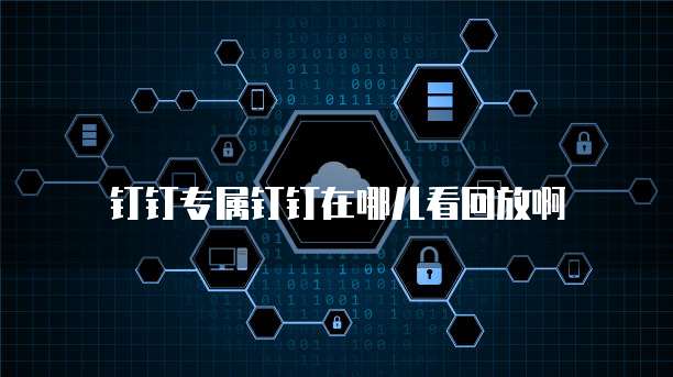 钉钉专属钉钉在哪儿看回放啊