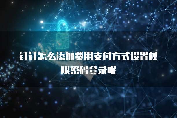 钉钉怎么添加费用支付方式设置权限密码登录呢