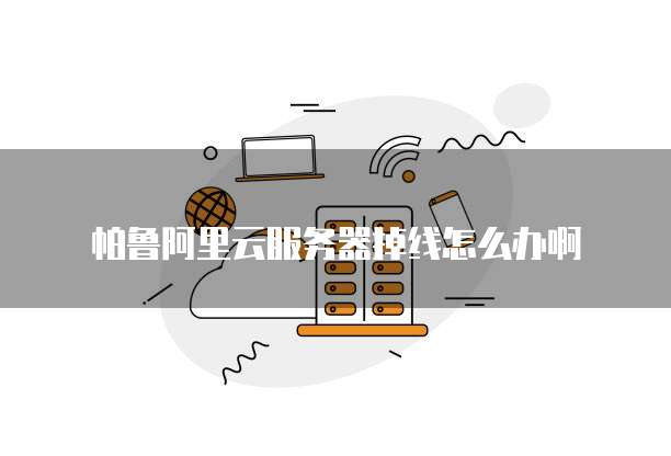 帕鲁阿里云服务器掉线怎么办啊