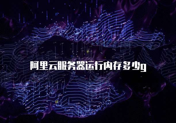 阿里云服务器运行内存多少g