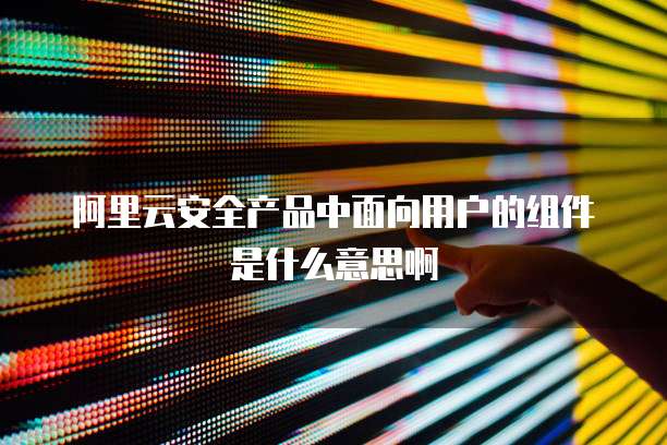 阿里云安全产品中面向用户的组件是什么意思啊