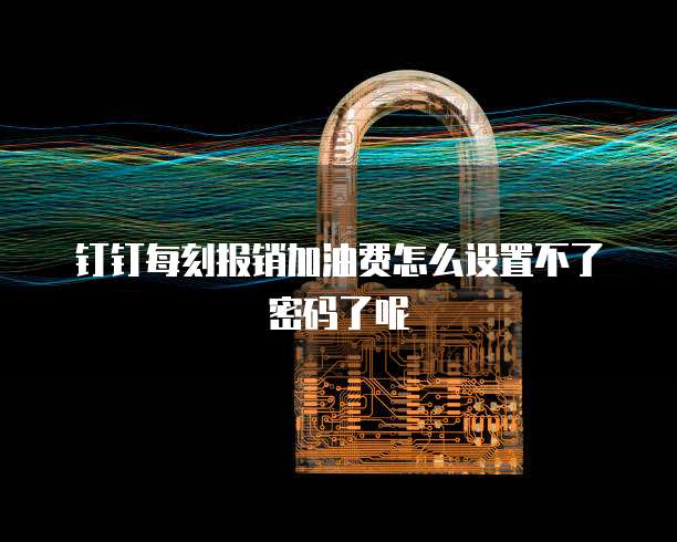 钉钉每刻报销加油费怎么设置不了密码了呢