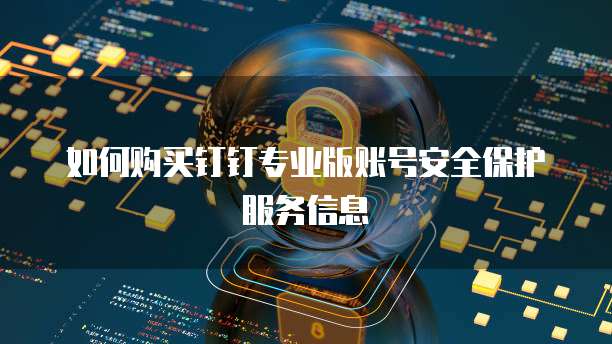 如何购买钉钉专业版账号安全保护服务信息