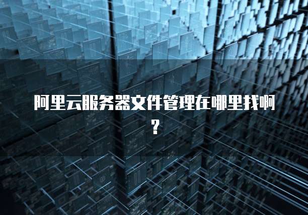阿里云服务器文件管理在哪里找啊?