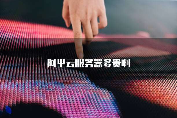 阿里云服务器多贵啊