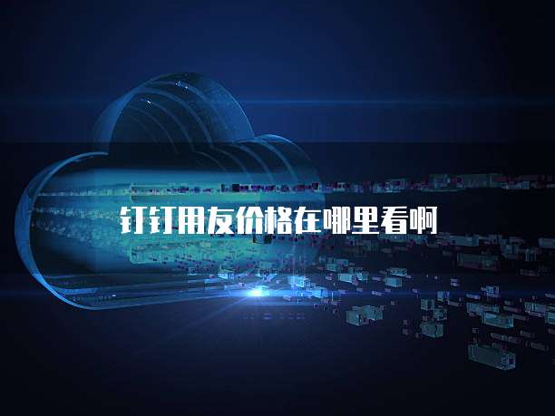 钉钉用友价格在哪里看啊