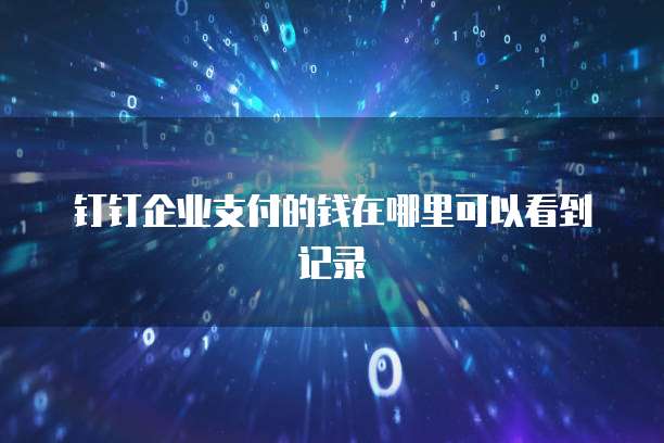 钉钉企业支付的钱在哪里可以看到记录