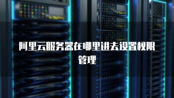 阿里云服务器在哪里进去设置权限管理