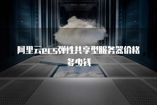 阿里云ecs弹性共享型服务器价格多少钱