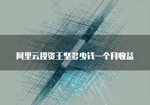 阿里云投资王坚多少钱一个月收益