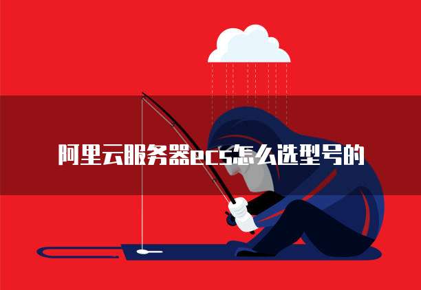 阿里云服务器ecs怎么选型号的