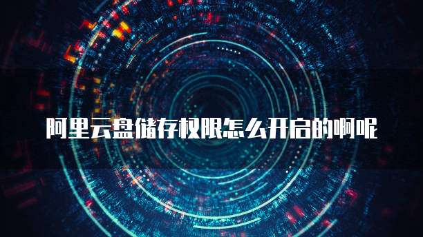阿里云盘储存权限怎么开启的啊呢