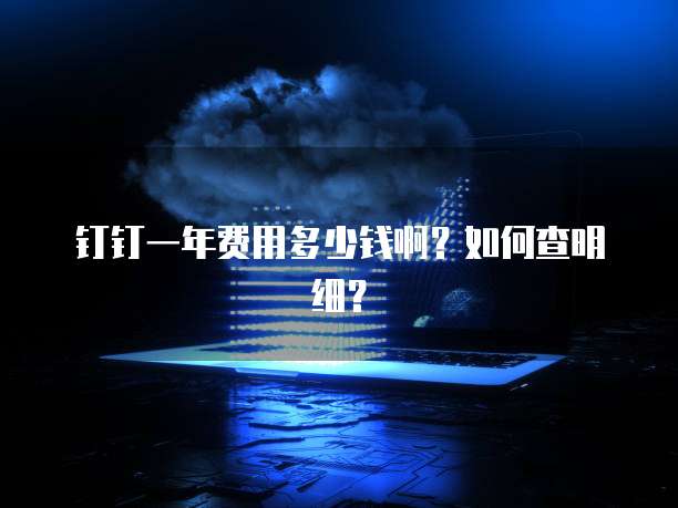 钉钉一年费用多少钱啊?如何查明细?
