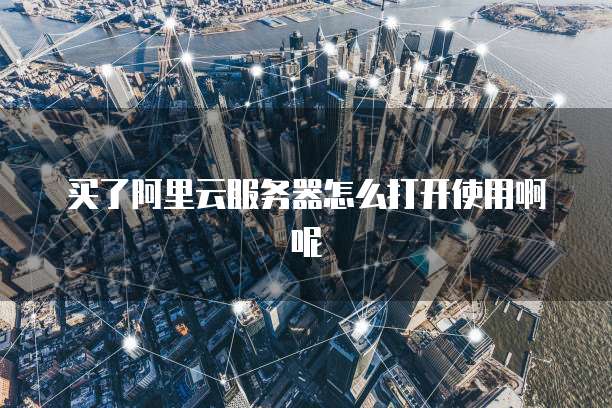 买了阿里云服务器怎么打开使用啊呢