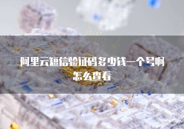 阿里云短信验证码多少钱一个号啊怎么查看