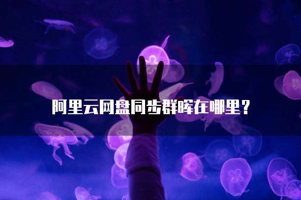 阿里云网盘同步群晖在哪里？