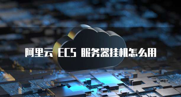 阿里云 ECS 服务器挂机怎么用