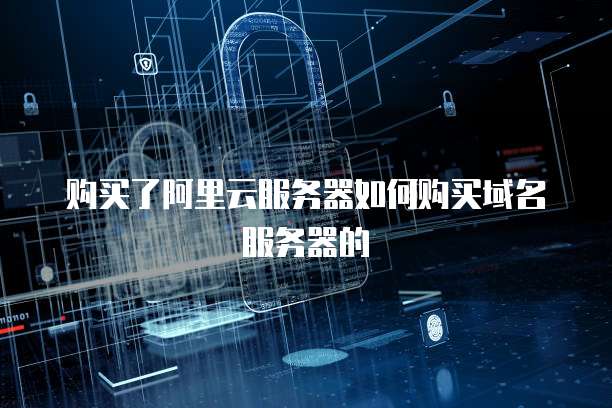 购买了阿里云服务器如何购买域名服务器的