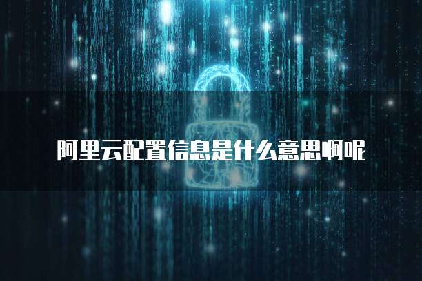 阿里云配置信息是什么意思啊呢