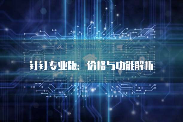 钉钉专业版:价格与功能解析