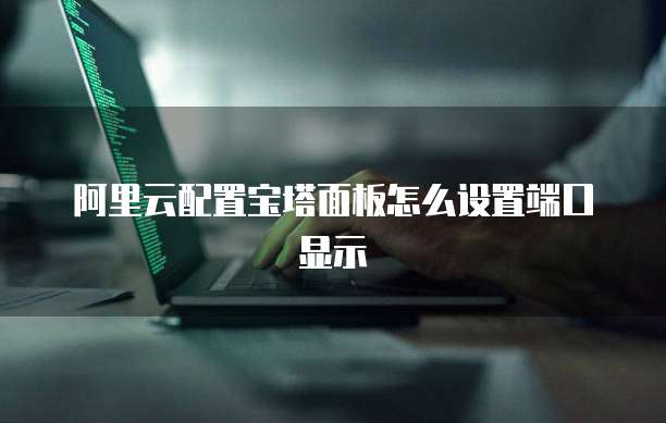 阿里云配置宝塔面板怎么设置端口显示