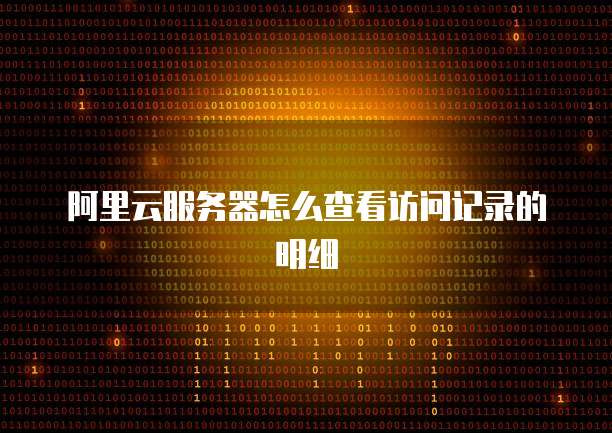 阿里云服务器怎么查看访问记录的明细