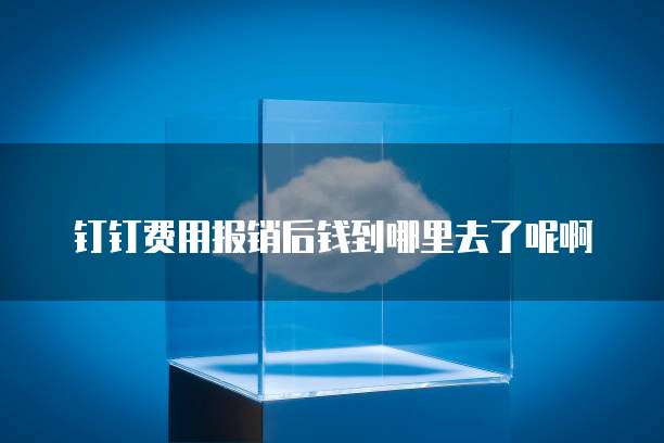 钉钉费用报销后钱到哪里去了呢啊