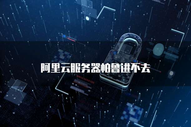 阿里云服务器帕鲁进不去
