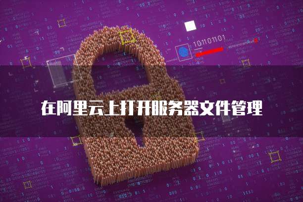 在阿里云上打开服务器文件管理