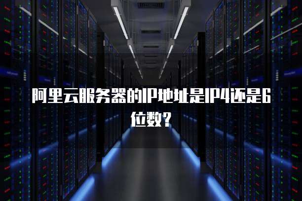 阿里云服务器的IP地址是IP4还是6位数?