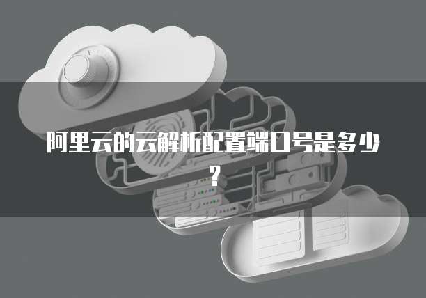 阿里云的云解析配置端口号是多少？