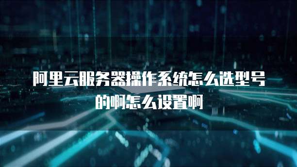 阿里云服务器操作系统怎么选型号的啊怎么设置啊
